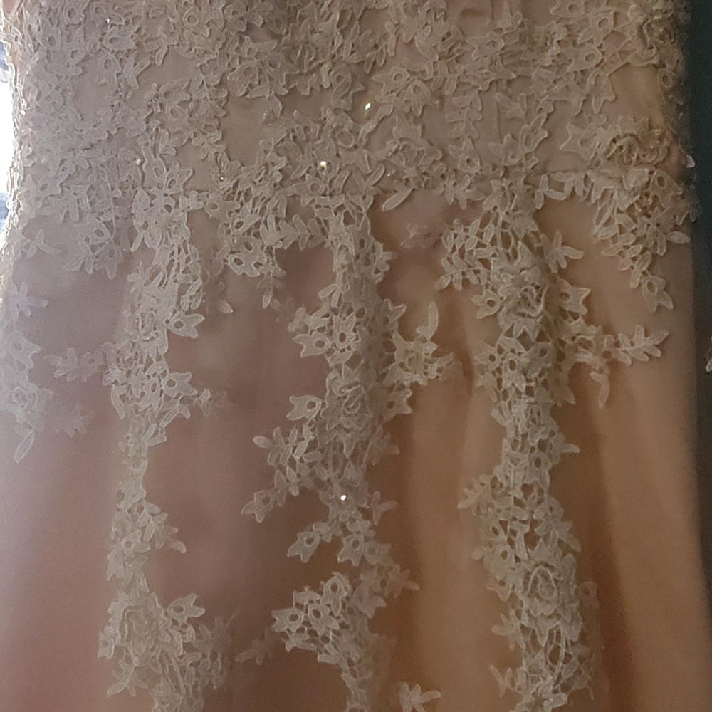Dress - Picture 2 of 5